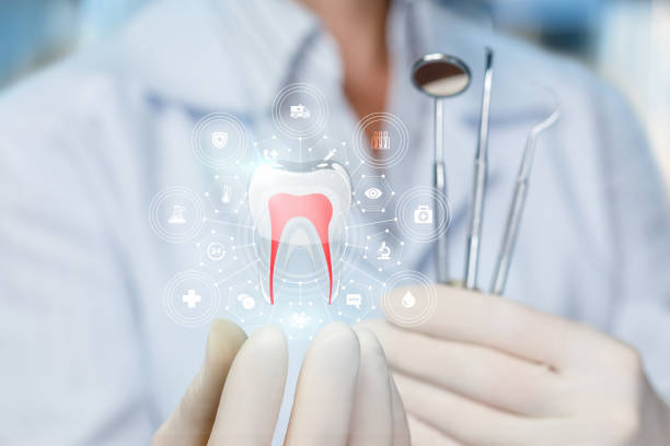 Ofallon, IL Holistic Dental Care Services Company